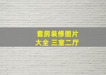 套房装修图片大全 三室二厅